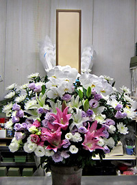 葬儀供花　洋花＋胡蝶蘭　みしま聖苑
