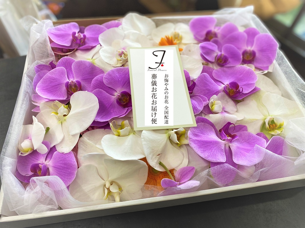 相模原市 相模原市営斎場 棺内に入れるお花 胡蝶蘭 火葬式式届け 葬儀お花お届け便